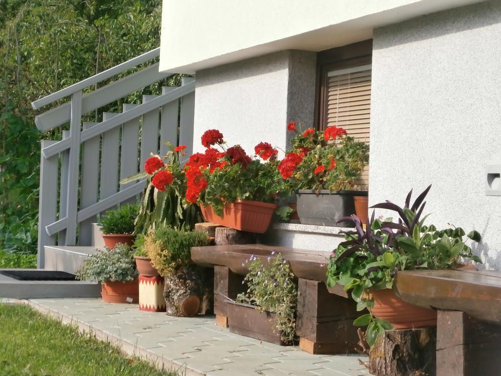 Apartment Zvan Bohinj Oda fotoğraf